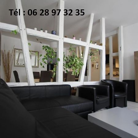 Gite Hyper Centre 10 Pers Colmar Exterior photo