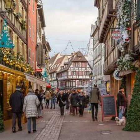 Gite Hyper Centre 10 Pers Colmar Exterior photo